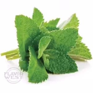 Flavor West Natural Spearmint Flavouring