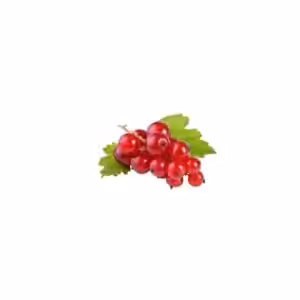 Flavour Italia Blackcurrant Flavouring