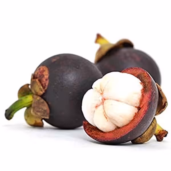 flavour-italia-mangosteen flavour italia mangosteen
