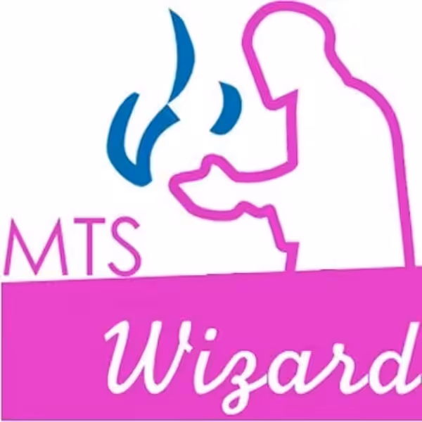 flavour italia mts vape wizard