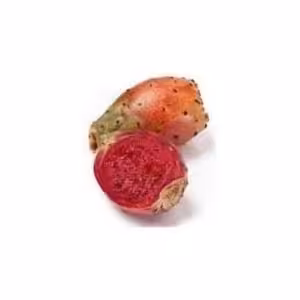 Inawera Cactus