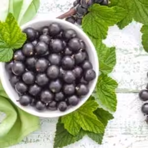 The Flavor Apprentice Black Currant