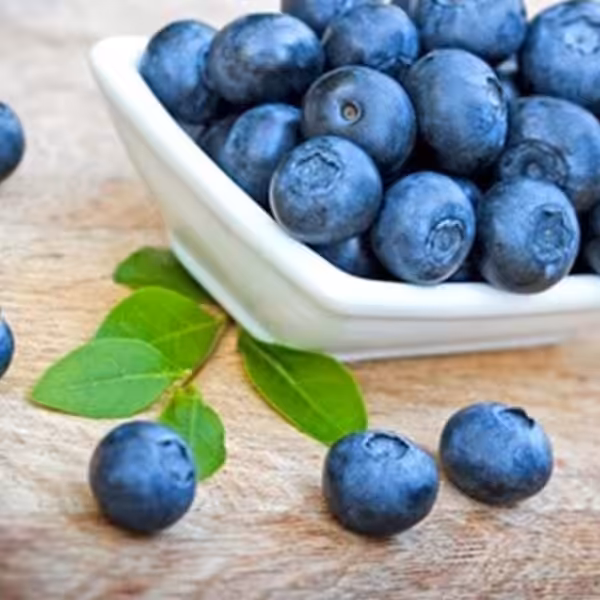 tfa blueberry wild