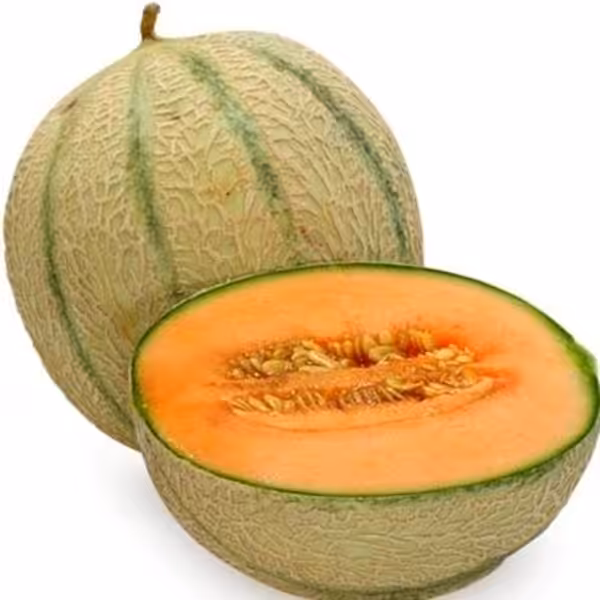 tfa cantaloupe