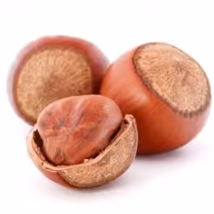 The Flavor Apprentice Hazelnut