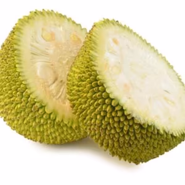 tfa jackfruit