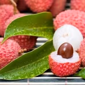 The Flavor Apprentice Lychee