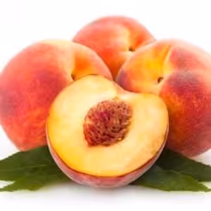 The Flavor Apprentice Nectarine