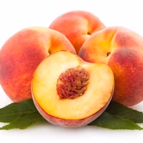 tfa nectarine