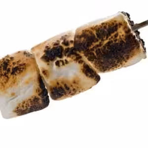 The Flavor Apprentice Toasted Marshmallow