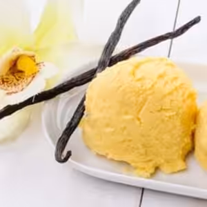 The Flavor Apprentice Vanilla Bean Gelato