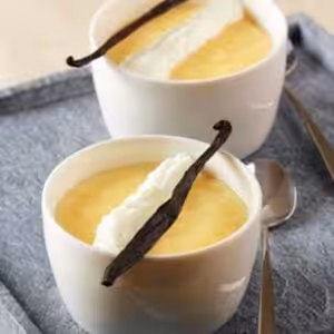The Flavor Apprentice Vanilla Custard