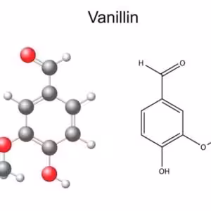 The Flavor Apprentice Vanillin PG