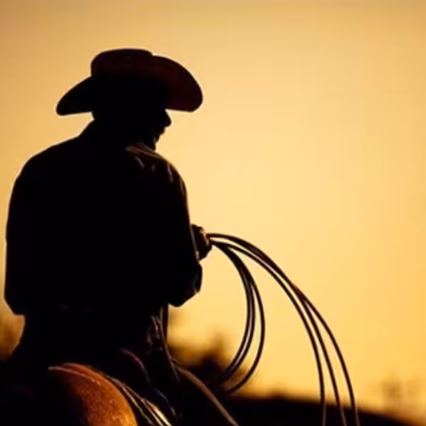 tfa western
