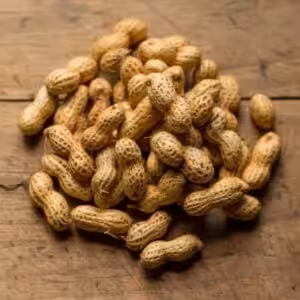 Botanic Elixir Peanut VG Flavour Concentrate